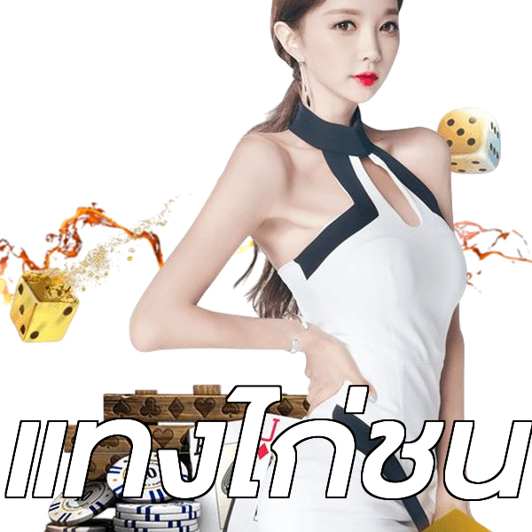 แทงไก่ชน